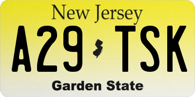 NJ license plate A29TSK