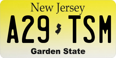 NJ license plate A29TSM