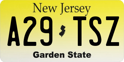 NJ license plate A29TSZ