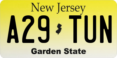 NJ license plate A29TUN