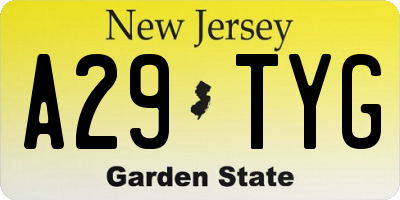 NJ license plate A29TYG