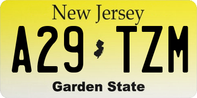 NJ license plate A29TZM
