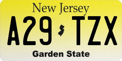 NJ license plate A29TZX
