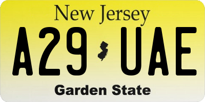 NJ license plate A29UAE