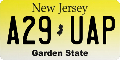 NJ license plate A29UAP