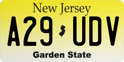 NJ license plate A29UDV