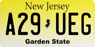 NJ license plate A29UEG