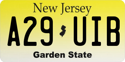 NJ license plate A29UIB
