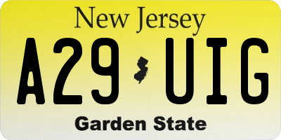 NJ license plate A29UIG
