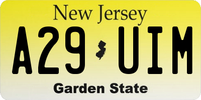 NJ license plate A29UIM