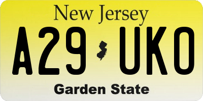 NJ license plate A29UKO