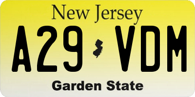 NJ license plate A29VDM