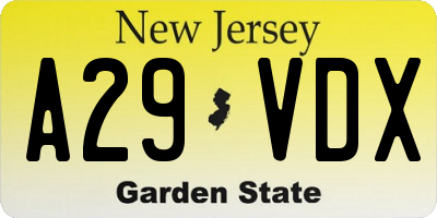 NJ license plate A29VDX
