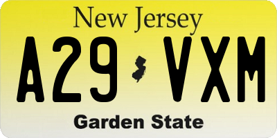 NJ license plate A29VXM