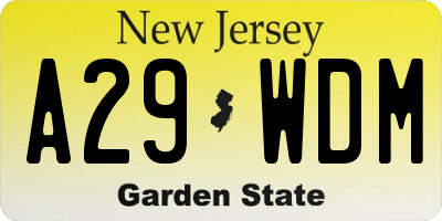 NJ license plate A29WDM