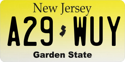 NJ license plate A29WUY