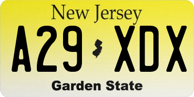 NJ license plate A29XDX