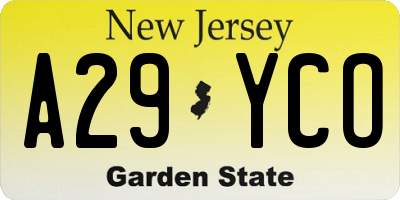 NJ license plate A29YCO