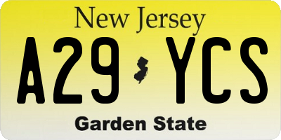 NJ license plate A29YCS