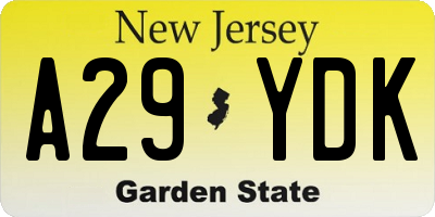 NJ license plate A29YDK