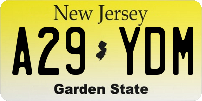 NJ license plate A29YDM