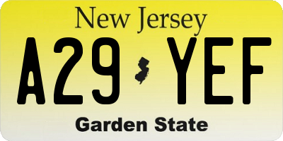 NJ license plate A29YEF