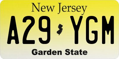 NJ license plate A29YGM