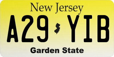 NJ license plate A29YIB
