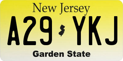 NJ license plate A29YKJ