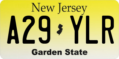 NJ license plate A29YLR