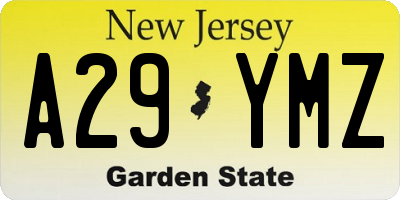 NJ license plate A29YMZ