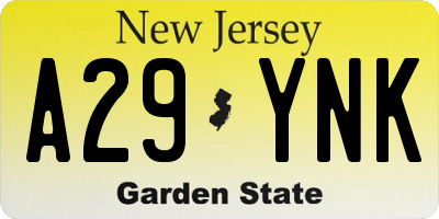 NJ license plate A29YNK