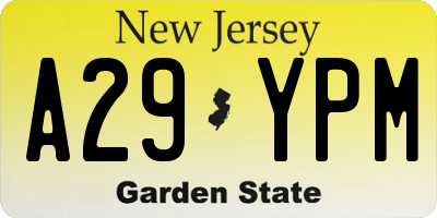 NJ license plate A29YPM
