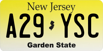 NJ license plate A29YSC