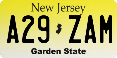 NJ license plate A29ZAM
