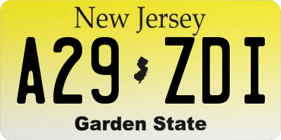 NJ license plate A29ZDI