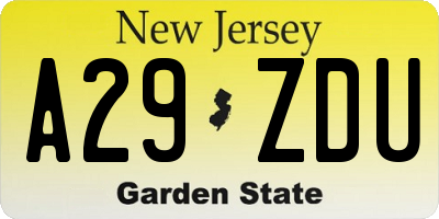 NJ license plate A29ZDU