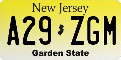 NJ license plate A29ZGM