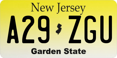NJ license plate A29ZGU