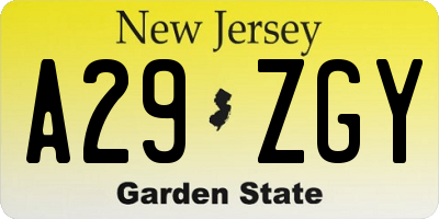 NJ license plate A29ZGY