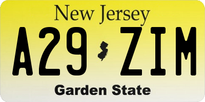 NJ license plate A29ZIM