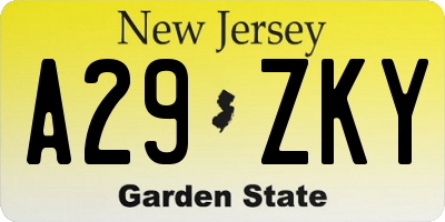 NJ license plate A29ZKY