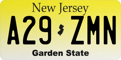 NJ license plate A29ZMN