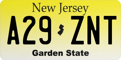 NJ license plate A29ZNT