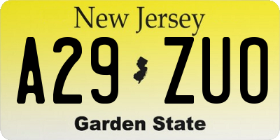 NJ license plate A29ZUO