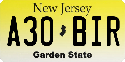 NJ license plate A30BIR