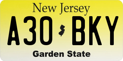 NJ license plate A30BKY