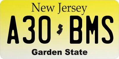 NJ license plate A30BMS