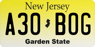 NJ license plate A30BOG