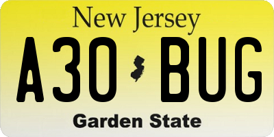 NJ license plate A30BUG